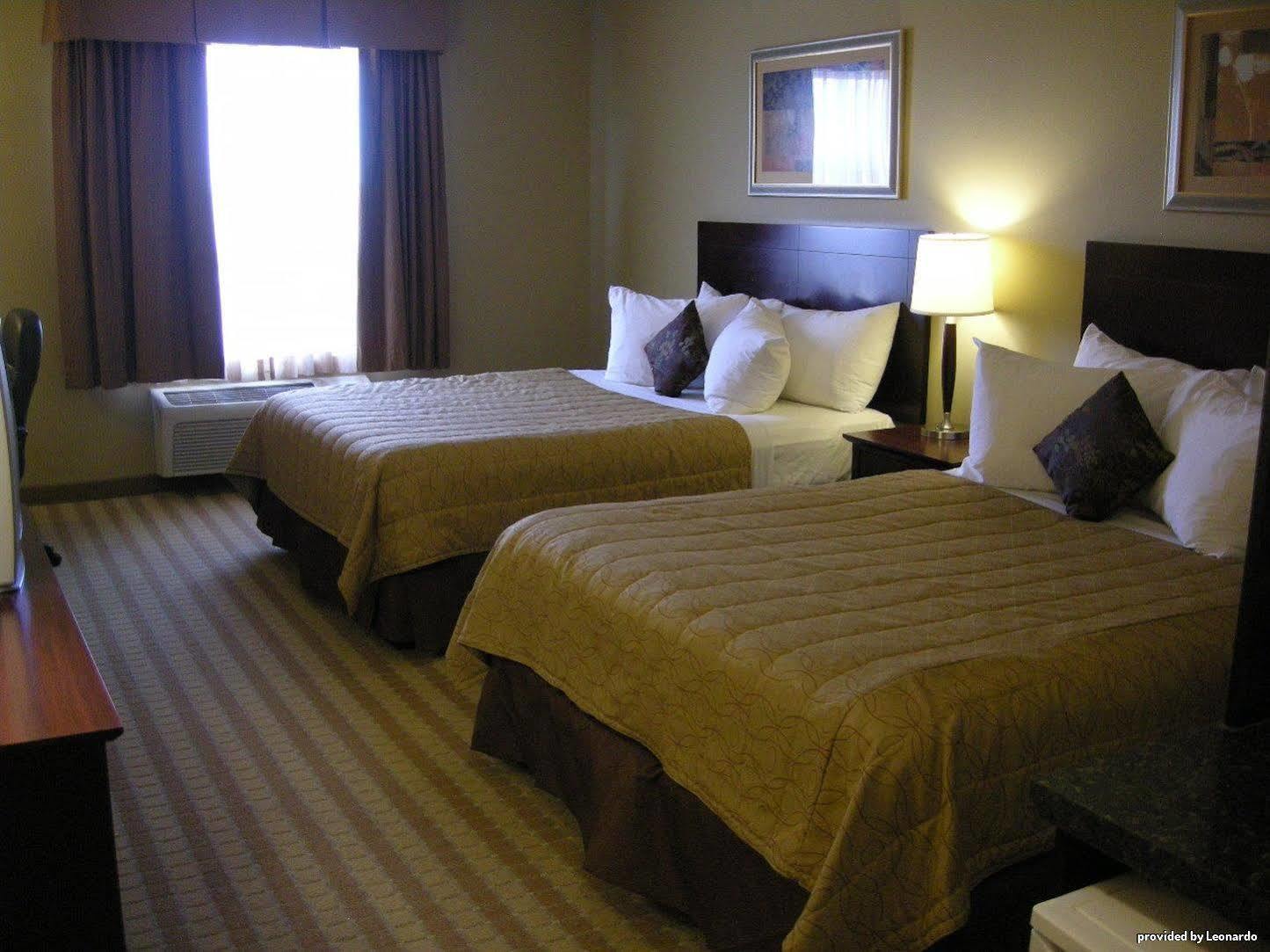 Best Western Rocky Mountain House Room photo